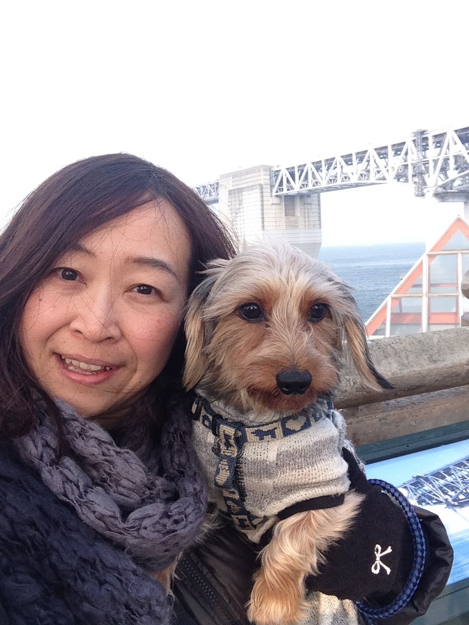 犬と過ごす熊崎由香