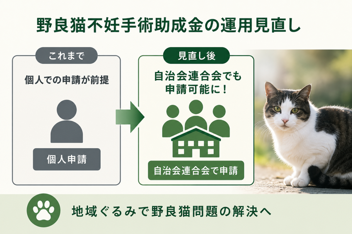 野良猫不妊手術助成金の運用見直し